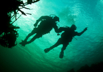 Divers begin a dive