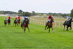 Race 1 14:15 Yorkshire Dales Distillery / EBF Restricted Maiden Stakes portfolio