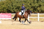 SBM_017954