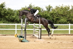 SBM_003323