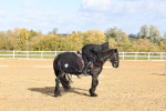 SBM_001077