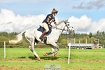 504-CALYPSO'S.PRIDE-Letitia.Pickles-SC+XC portfolio