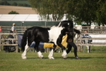 SBM_10367