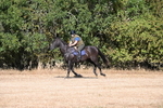 WJ6_6783