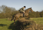 Hedge-Hopper