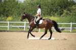 SBM_009536