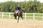 SBM_001161