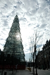 Aliados Tree