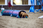 SBM_006529