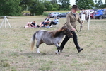 WJ6_6976