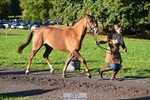 446-WANDALUST-Lizzie.Luxton-TrotUp+SJ portfolio
