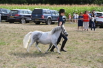 WJ6_7078
