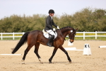 SBM_007525