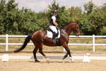 SBM_008557