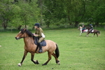 WJ6_3365