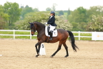 SBM_006049