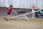SBM_004480