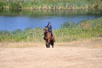 WJ6_7985