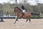 BPP_1097