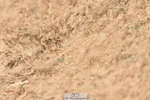 240331A-145820-01181