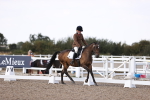SBM_07937