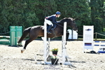 Cls 25 British Novice 90 Open portfolio