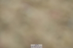 230630A-103112-00109
