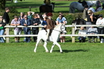 SBM_50385