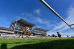 Race 6 4.45pm John Smith's Stayers' Handicap portfolio