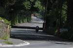 PR158268