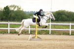SBM_009208