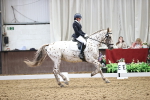 SBM_016440