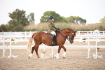 SBM_08745