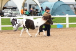 SBM_10286