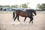 SBM_07120