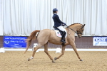SBM_001669