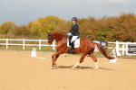 SBM_009340