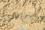 251004A-095437-00293