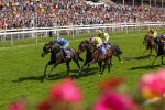 290723-Race 3-Alflaila-3852