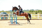 SBM_005590