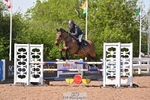 Cls 22 1.10m Amateur Qualifer and Open portfolio