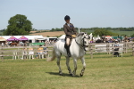 SBM_07597