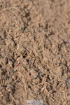 231015A-105828-07361