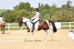 SBM_010118