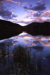 Photo of the Week 7/18/2011
