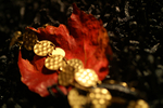 Flowers Set 09 - 14
