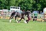 SBM_10144
