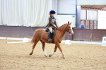 SBM_001031