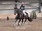 BPP_6660