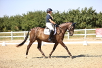 SBM_006541